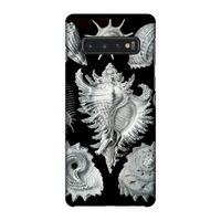 Haeckel Prosobranchia: Samsung Galaxy S10 4G Volledig Geprint Hoesje