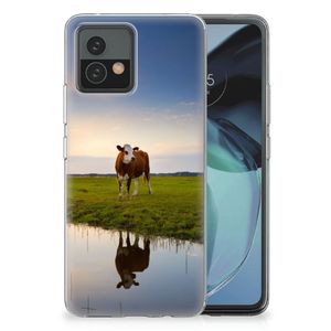 Motorola Moto G72 TPU Hoesje Koe