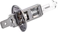 SPAHN headlight bulb 12v 55w h1 50+ p14.5s
