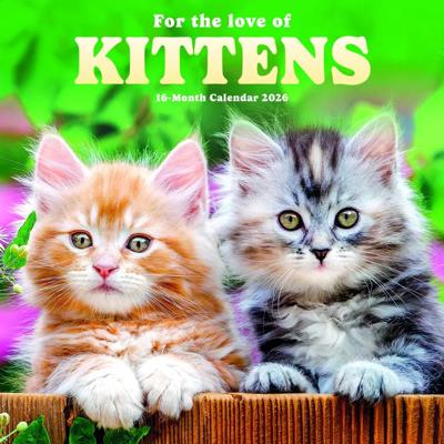 Love of Kittens Kalender 2026