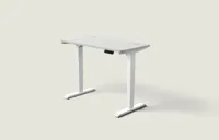 Desktronic HomePro bureau Wit / Grijs / 120x60 cm