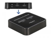 DeLOCK M.2 Docking Station for 2 x M.2 NVMe PCIe SSD with Clone function dockingstation - thumbnail