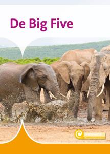 De Big Five (Hardback)