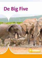 De Big Five (Hardback)