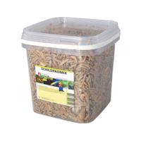 Schildpad mix 2.5 liter - Suren collection