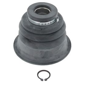 Asmanchetten set SKF, u.a. für Renault, Peugeot, Citroën