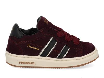 Pinocchio P1102 bordo combi bordo maat 22