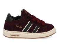 Pinocchio P1102 bordo combi bordo maat 23