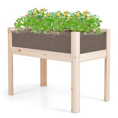 Houten Verhoogde Bloembak Groot Plantenbak met Afvoergaten & Transparante Acrylplaten Tuinbak 100 x 59 x 77 cm Natuur