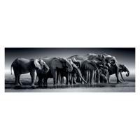 Clementoni legpuzzel panorama herd of giants, 1000st.
