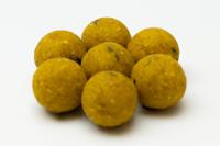 Fish Readymades 5kg Scopex Cream 15 mm Fish Readymades 5kg Scopex Cream 15 mm