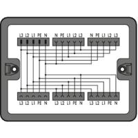WAGO 899-631/187-000 Verdeeldoos 899 25 A Zwart 1 stuk(s)