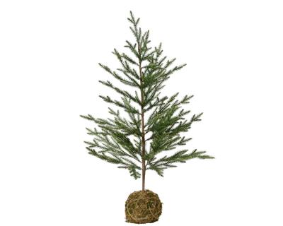 Moss ball mini boom d65h120 cm groen I - Everlands