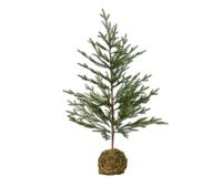Moss ball mini boom d65h120 cm groen I - Everlands