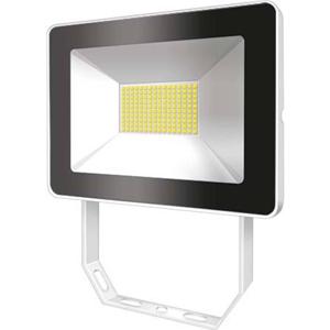 ESYLUX OFLBASICLED50W 4K WH EL10810749 LED-buitenschijnwerper 50 W Wit