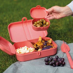 Koziol Bio-Circulair - Pascal Ready Lunchbox- en Bestekset - Gerecycled Zonnebloemolie - Roze