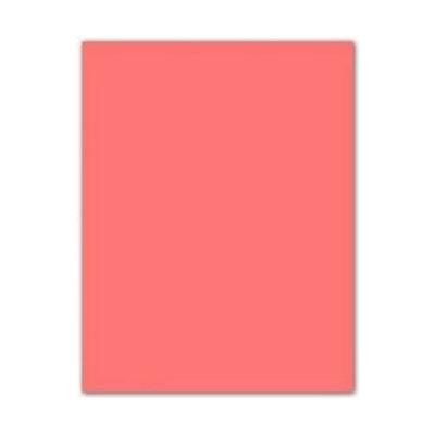 Fiches Iris Roze Licht Roze 50 x 65 cm