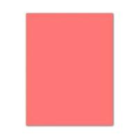 Fiches Iris Roze Licht Roze 50 x 65 cm