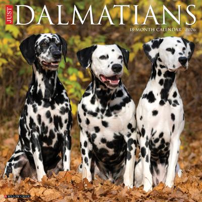 Dalmatiër Kalender 2026