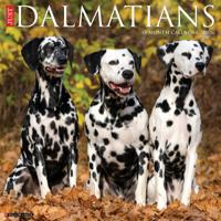 Dalmatiër Kalender 2026