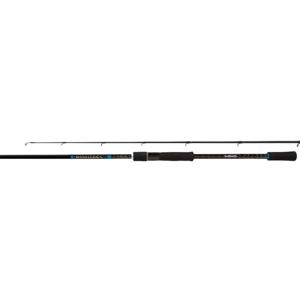 Rod Bassterra Spin Sea Bass 2.90m 15-60g Spinhengel