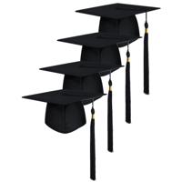 Fiestas Guirca Afstudeer/geslaagd hoedje - 25x - zwart - diploma uitreiking - examen gehaald