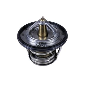 Thermostaat ADS79207