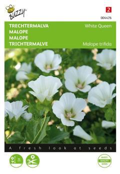Zaden malope trechtermalva white queen 1.5 gram - Buzzy