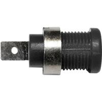 Mueller Electric BU-P72913-0 Banaanbus Zwart 10 stuk(s)