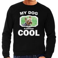 Yorkshire terrier honden sweater / trui my dog is serious cool zwart voor heren - thumbnail