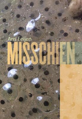 Misschien (Paperback)