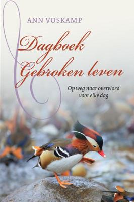 Dagboek Gebroken leven (Hardback)