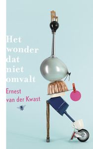 Het wonder dat niet omvalt - Ernest van der Kwast - ebook