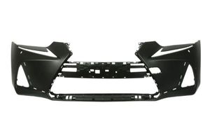 Bumper 5510008173904P