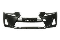 Bumper 5510008173904P Bumper 5510008173904P
