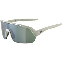 Olympic Sportswear Alpina sports sportbril turbo-hr q-lite grijs