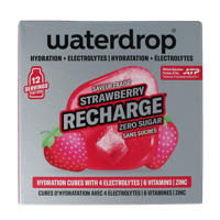 Microlyte strawberry 12 Stuks