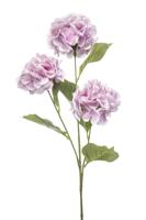 Hydrangea spray x3 pink 75 cm - Emerald