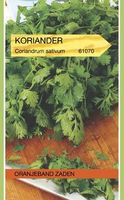 Koriander