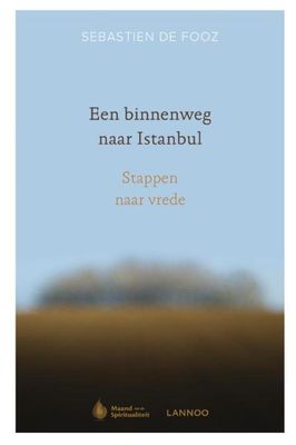 Een binnenweg naar Istanbul - Sebastien de Fooz - ebook