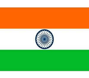 10x Stickertjes India vlag 10 cm   -