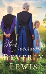 Het weerzien - Beverly Lewis - ebook