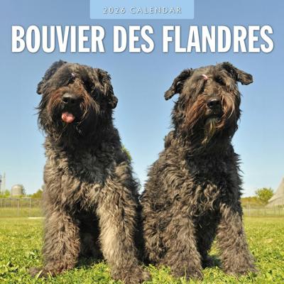 Bouvier Kalender 2026