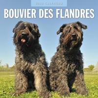 Bouvier Kalender 2026 Bouvier Kalender 2026