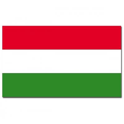 Vlag van Hongarije - 90 x 150 cm - feestartikelen - landen thema - supporters - versiering