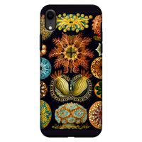 Haeckel Ascidiae: iPhone XR Tough Case