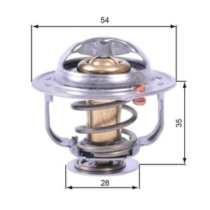 Thermostaat, koelvloeistof TH43880G1