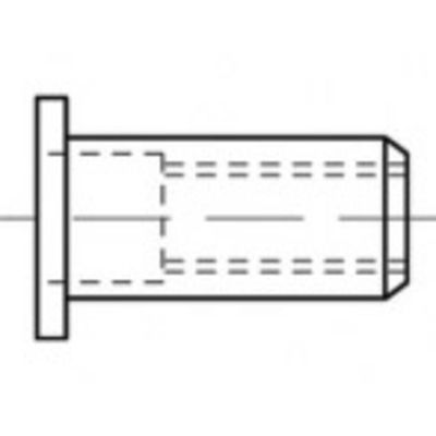 TOOLCRAFT TO-5455317 Popmoer M6 500 stuk(s)