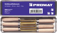 Promat Sleutelvijl-set | DIN 7283 A-F | lengte 100 mm | kap 2 | beukenhout - 4000840457 4000840457