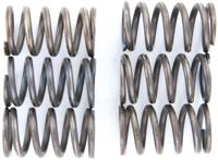 TRW Clutch spring kit mef123-6